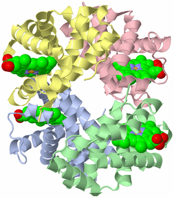 Image Asym./Biol. Unit