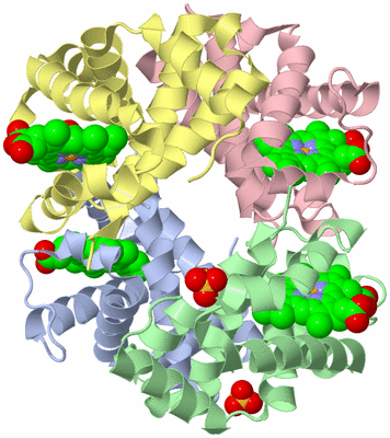 Image Asym./Biol. Unit