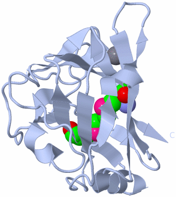 Image Biological Unit 1