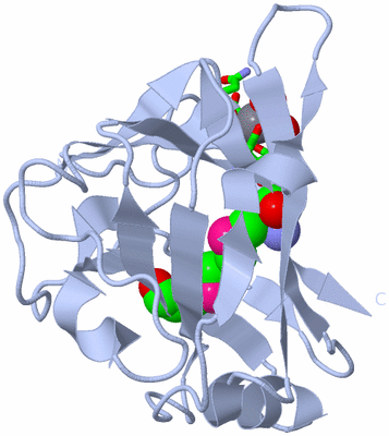 Image Biol. Unit 1 - sites