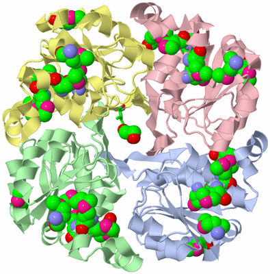Image Asym./Biol. Unit - sites