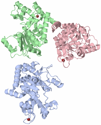 Image Biological Unit 1