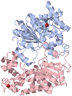 Image Biological Unit 2