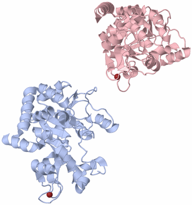 Image Biological Unit 3