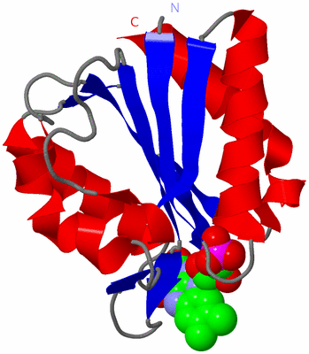 Image Asym./Biol. Unit