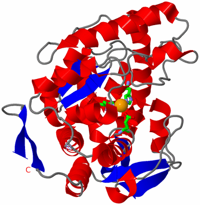 Image Asym. Unit - sites