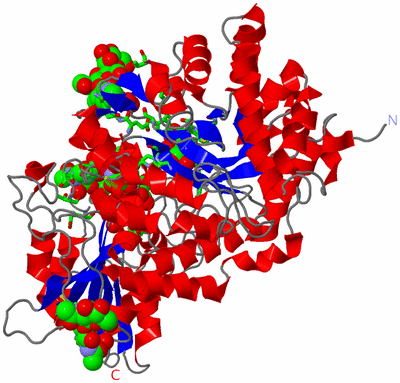 Image Asym./Biol. Unit - sites