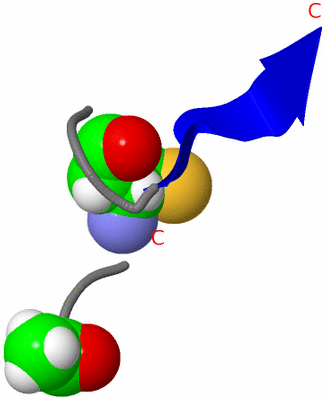 Image NMR Structure - model 1