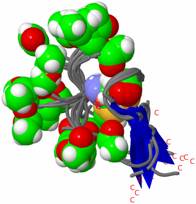 Image NMR Structure - all models