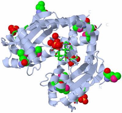 Image Biol. Unit 1 - sites