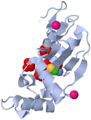 Image Biological Unit 1