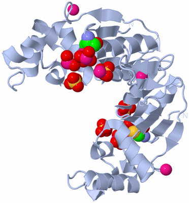 Image Biological Unit 2