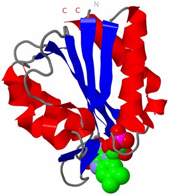 Image Asym./Biol. Unit