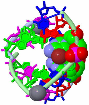 Image Biological Unit 1