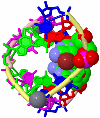 Image Biological Unit 2