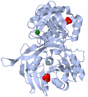 Image Biological Unit 3