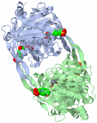 Image Biological Unit 2