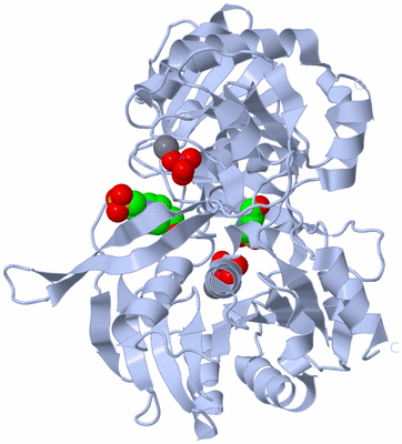 Image Biological Unit 3