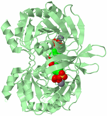 Image Biological Unit 4