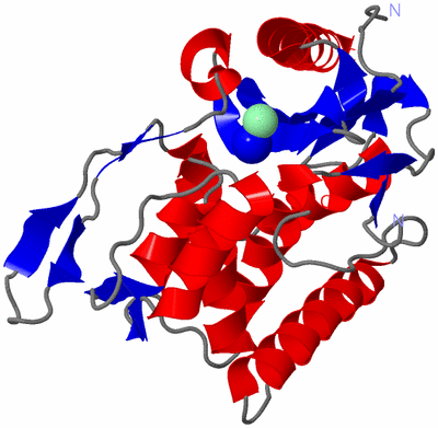 Image Asym./Biol. Unit