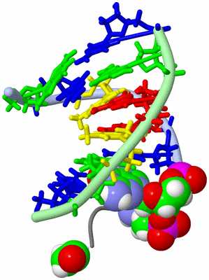 Image NMR Structure - model 1