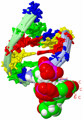 Image NMR Structure - all models