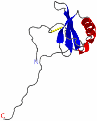 Image NMR Structure - model 1