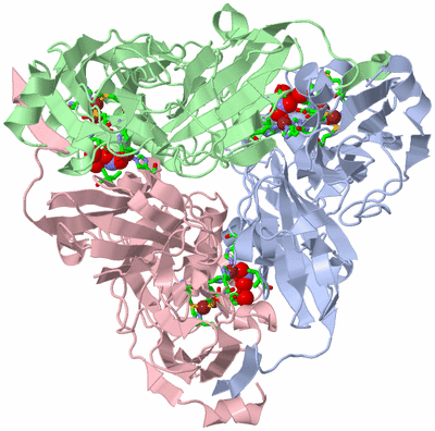 Image Asym./Biol. Unit - sites