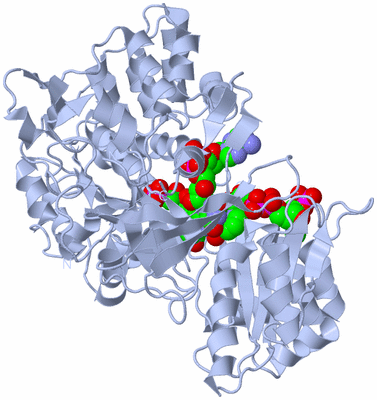 Image Biological Unit 1