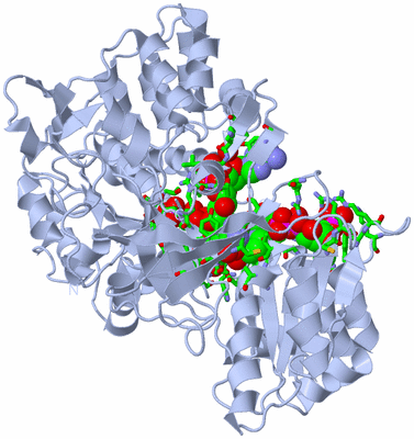 Image Biol. Unit 1 - sites