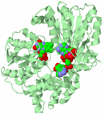 Image Biological Unit 2