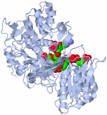 Image Biological Unit 1