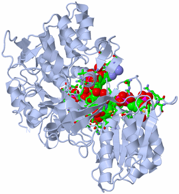 Image Biol. Unit 1 - sites