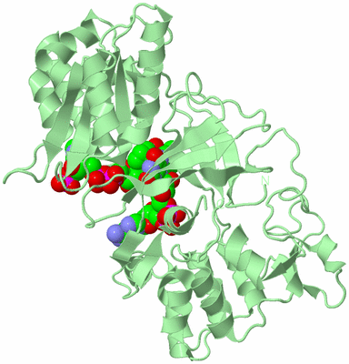 Image Biological Unit 2