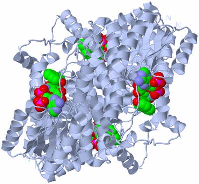 Image Biological Unit 1