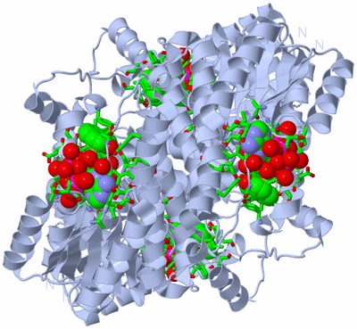 Image Biol. Unit 1 - sites