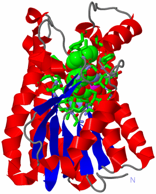 Image Asym. Unit - sites