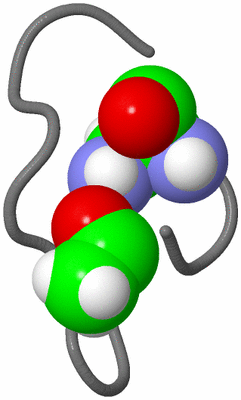 Image NMR Structure - model 1