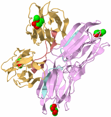 Image Biological Unit 3