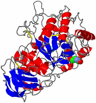 Image Asym./Biol. Unit