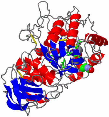 Image Asym./Biol. Unit - sites