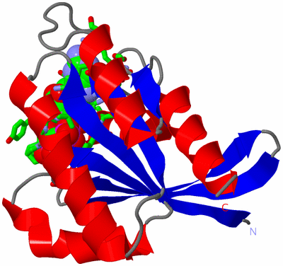 Image Asym. Unit - sites