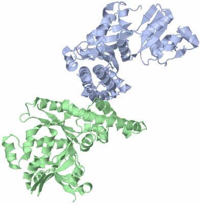 Image Asymmetric Unit