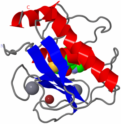 Image Asym./Biol. Unit