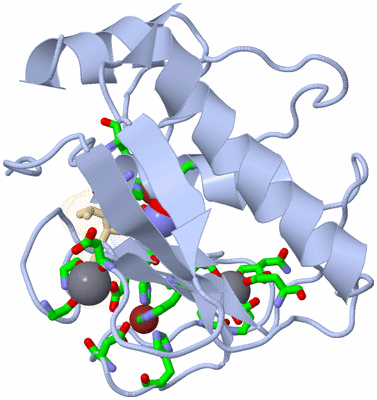 Image Asym./Biol. Unit - sites