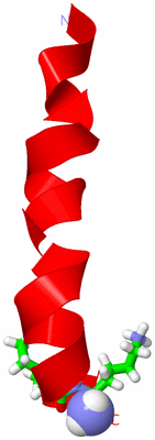 Image NMR Structure - model 1, sites