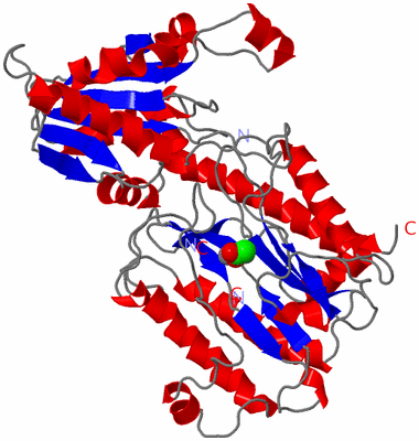 Image Asym./Biol. Unit