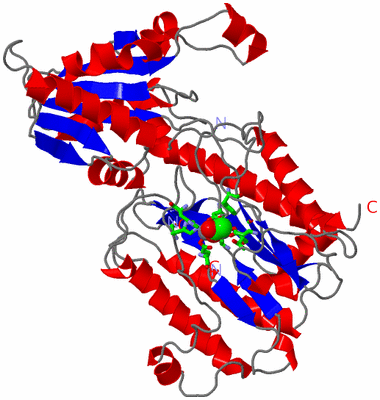 Image Asym./Biol. Unit - sites