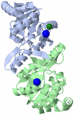 Image Asym./Biol. Unit