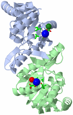 Image Asym./Biol. Unit - sites